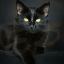 Black Cat